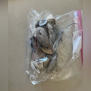Mixed Bag of Seashells